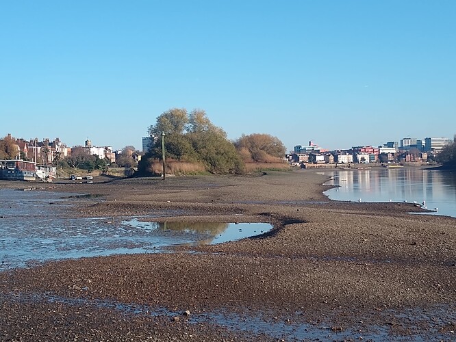 IMG_20251121_101104635