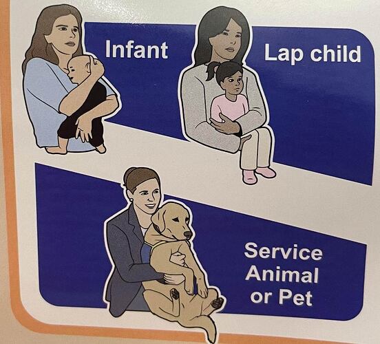 how-the-person