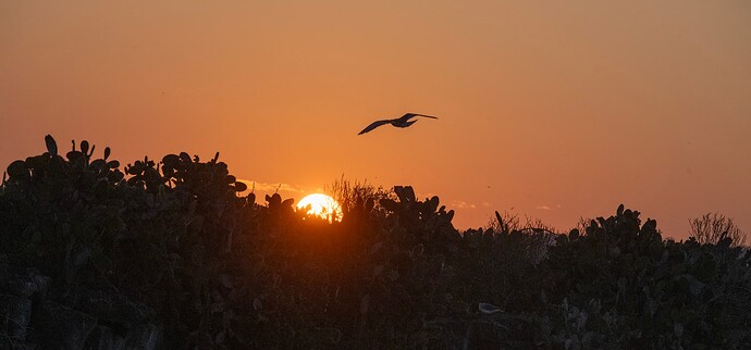 DSC_1651_1