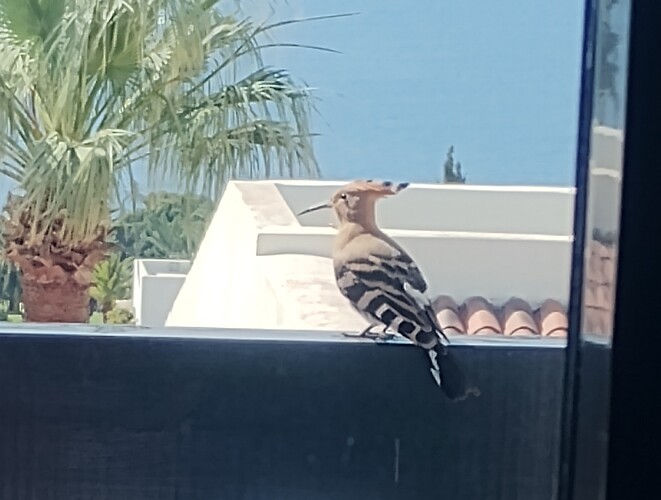 IMG_20250615_105614665~2