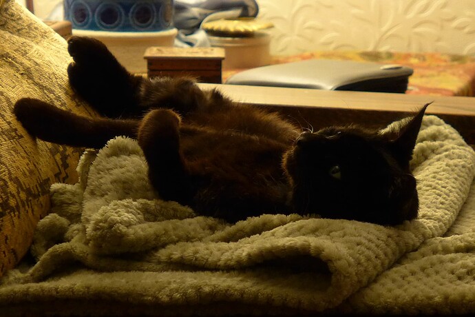 31AB0A51-140C-49C6-960F-78E0CCD41EA6