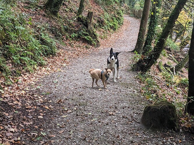 PXL_20241020_120340564