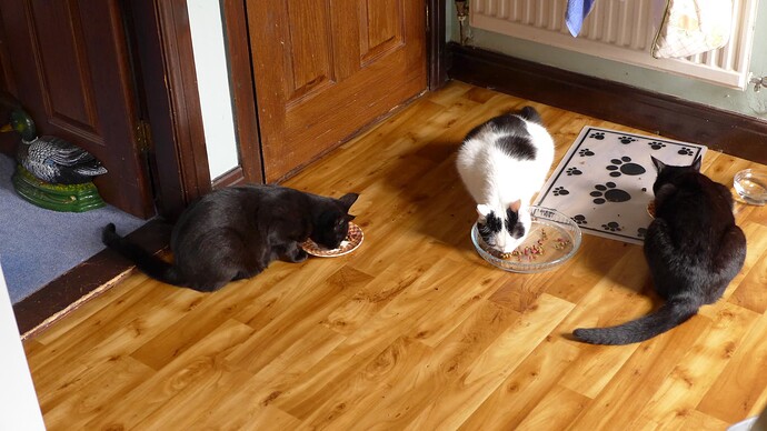 CEF7BC21-CC52-4A8A-A43D-9357195F3F16