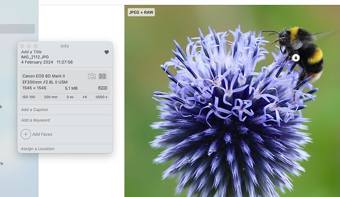 Screenshot 2024-12-17 at 09.56.26