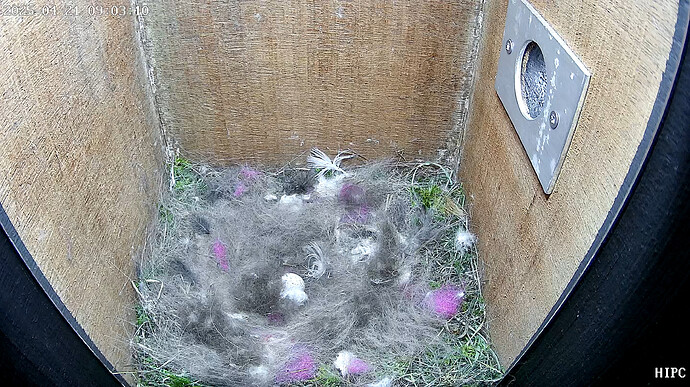 PPHC012CDA6B8429E7-2025-04-21 09:03:11