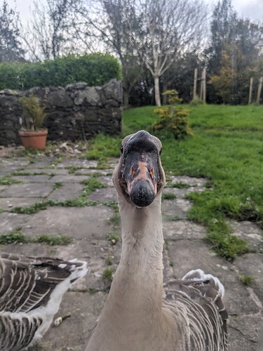 PXL_20241023_151733970