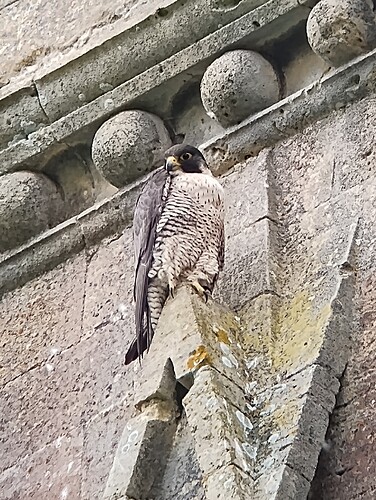 IMG_20230523_111140928