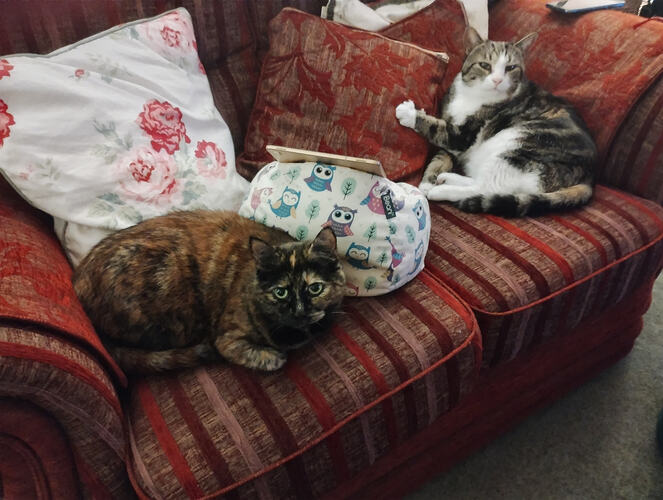 IMG_20260107_185719056