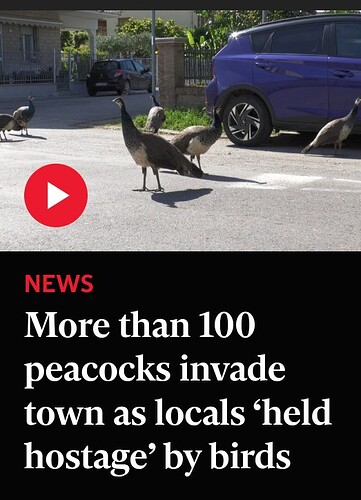 6477