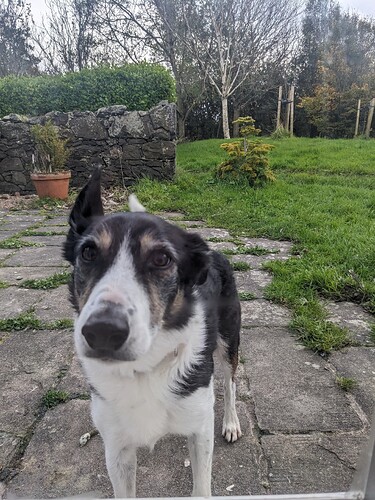 PXL_20241023_151739957