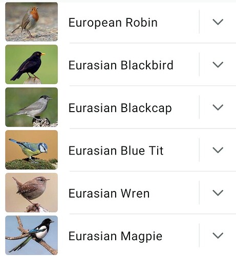 Screenshot_2025-04-11-20-33-05-887