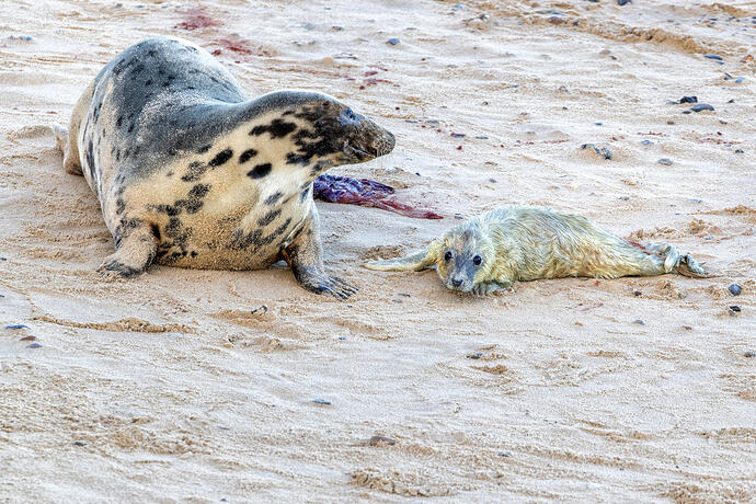 Welcome to The World