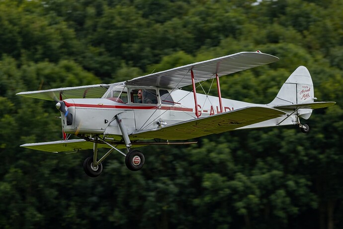 Hornet Moth