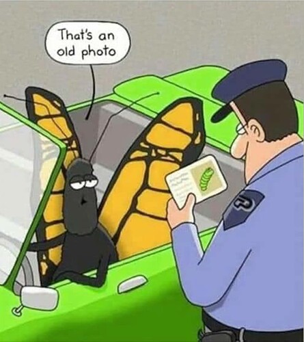 Screenshot 2023-05-21 at 08.04.38