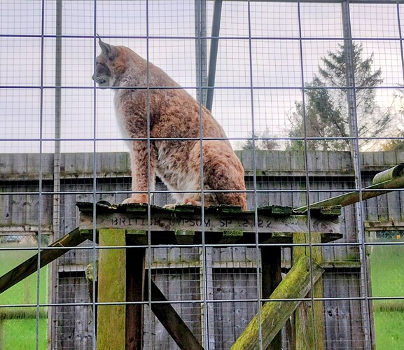 IMG_20251106_085545372_HDR~2