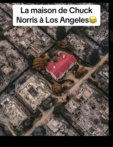 Whats-App-Image-2025-01-17-at-17-48-28