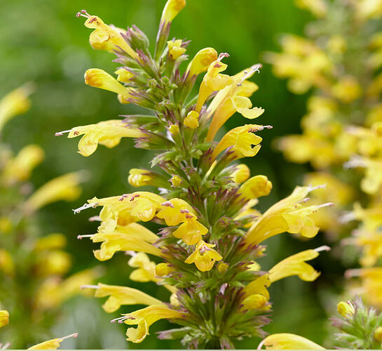 Screenshot 2026-01-10 at 10.07.34