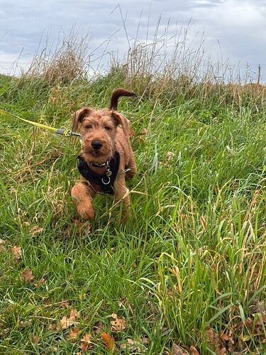 024f95a2-80c8-4844-b904-4fd43ce8f184