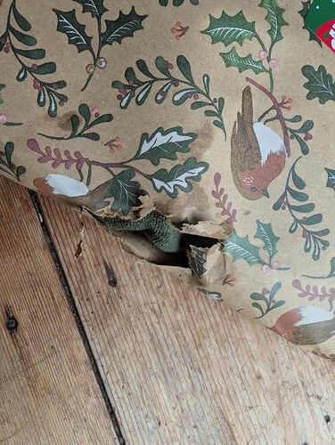 PXL_20251220_100415136