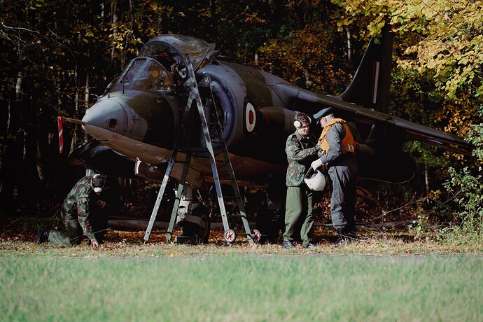 Harrier GR1 in hiding