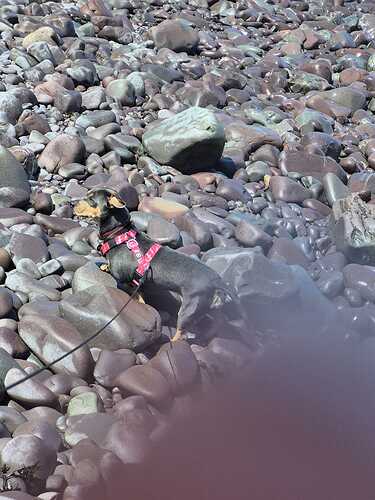 IMG-20260715-WA0002