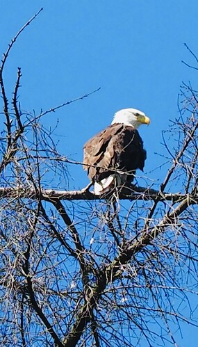 IMG_8051
