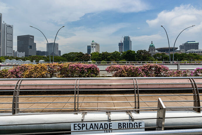 Singapore Esplanade Bridge