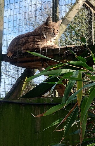 IMG_20251106_104641991_HDR