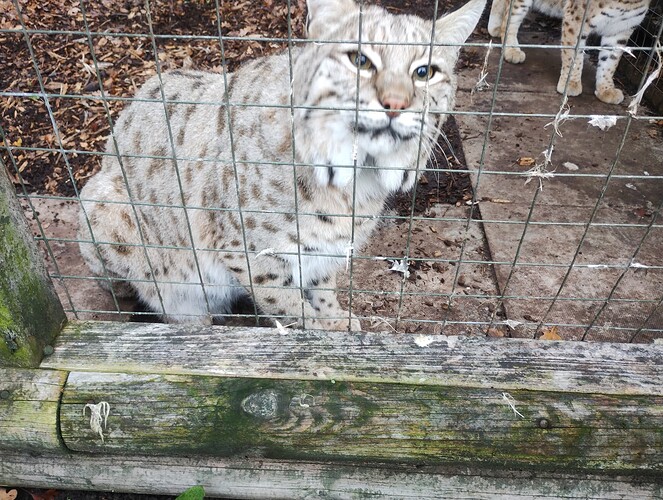 IMG_20251106_093353043