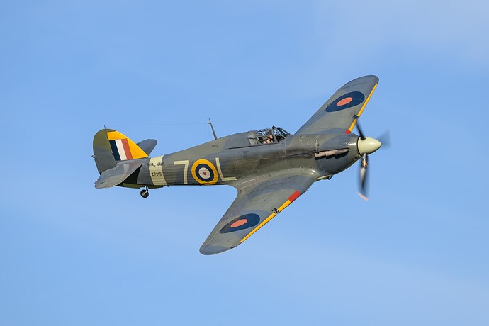 _DSC1419