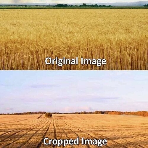 croppedimage