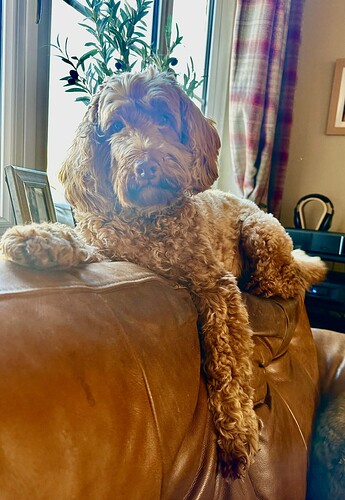 att.xqfKXzlE5LeADod0dJ1hDtjM3MITLgQf3XQ-ojTaYsU