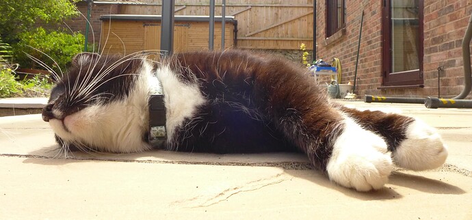 A65E9080-B9F2-4326-A587-85B14FF7829A_1_201_a