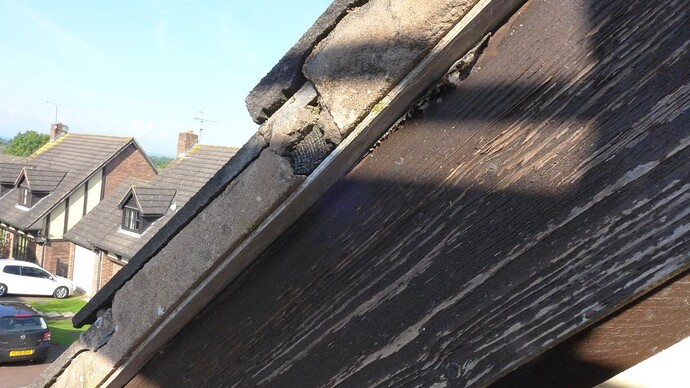 A6F763D0-5F11-462F-AB9A-D6D3E04B779A