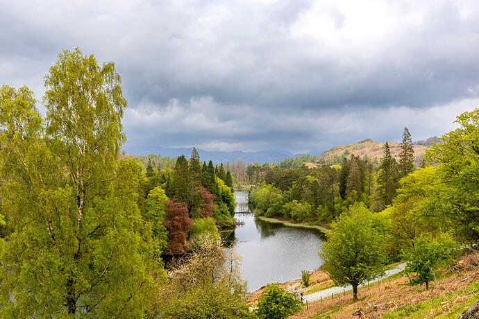 Tarn Hows
