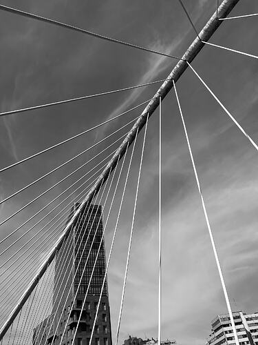 IMG_8568