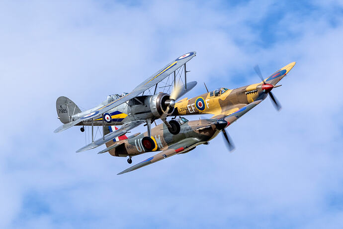 Glad, Hmk1 and Vc