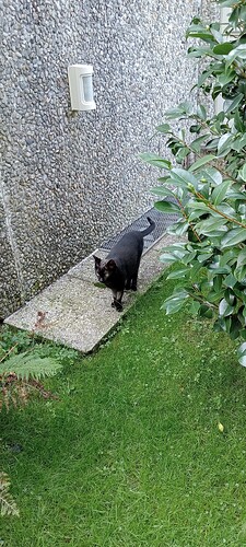 IMG20250919132217