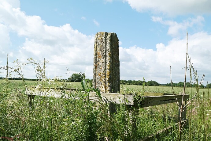 image-23