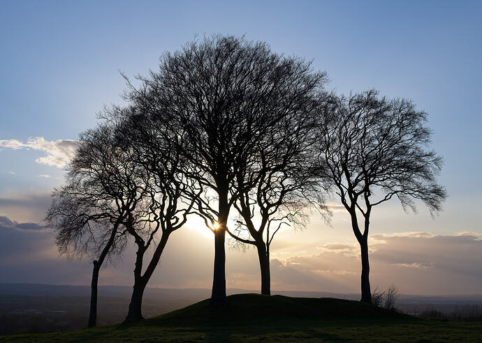 Seven Sisters