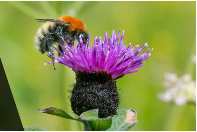 Screenshot 2025-04-01 at 18.12.58