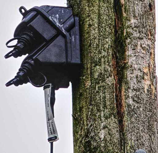 Fibre last pole close