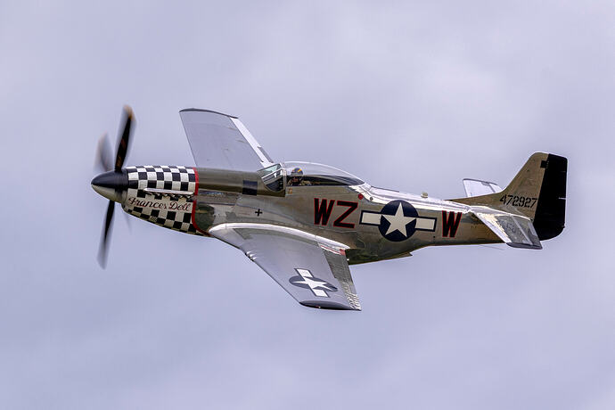Frances Dell P-51