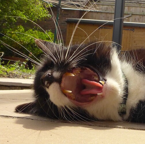 4709D327-98AD-4D3C-836F-66FD10461DC0_1_201_a