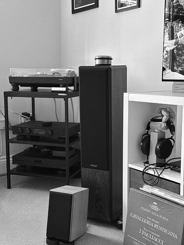 IMG_5318_SnapseedCopy