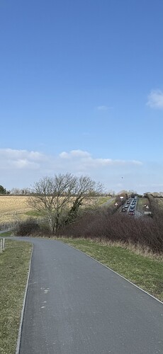 IMG_3052