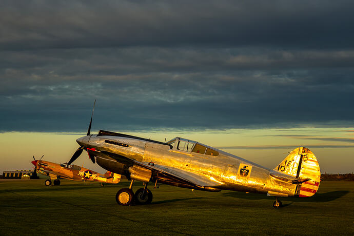 Golden P-40's