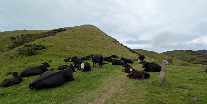 PXL_20251118_203603816