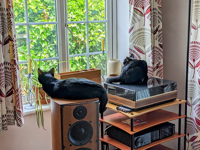 Sakli and Latika enjoying the system