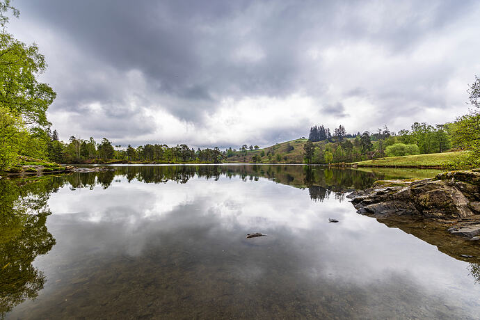 Tarn Hows from the shore